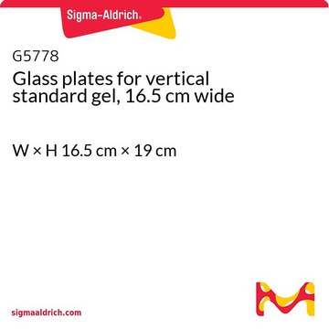 Glass plates for vertical standard