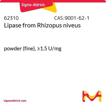 Lipase from Rhizopus niveus