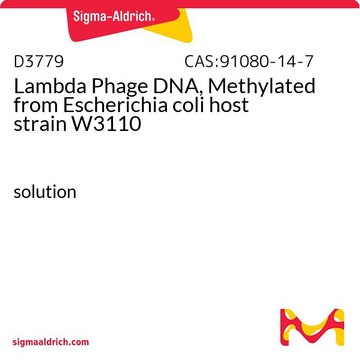 Lambda Phage DNA, Methylated from