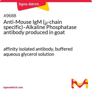 Anti-Mouse IgM (?-chain specific)–Alkaline Phosphatase