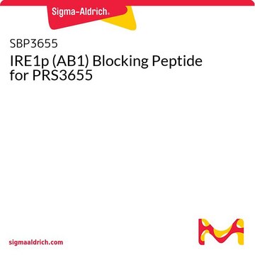 IRE1p (AB1) Blocking Peptide for