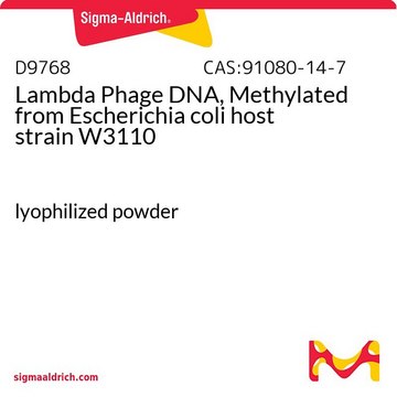 Lambda Phage DNA, Methylated from