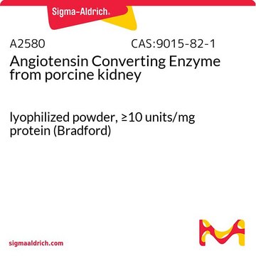 Angiotensin Converting Enzyme from porcine