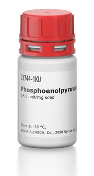 Phosphoenolpyruvate carboxylase microbial