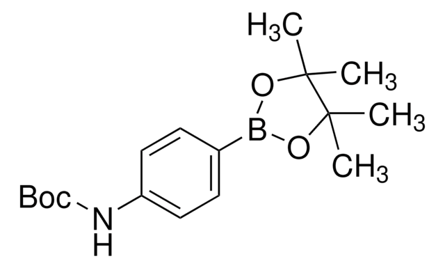4-(N-Boc-amino)phenylboronic acid pinacol ester
