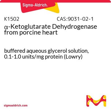 ?-Ketoglutarate Dehydrogenase from porcine heart