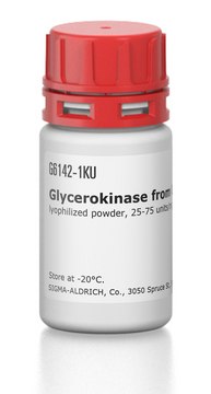 Glycerokinase from Cellulomonas sp.