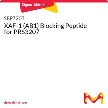 XAF-1 (AB1) Blocking Peptide for