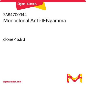 Monoclonal Anti-IFNgamma