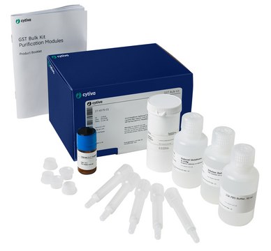 GST Bulk Kit