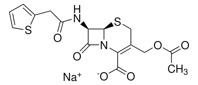 CEPHALOTHIN SODIUM, UNITED STATES PHARMA