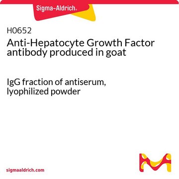 Anti-Hepatocyte Growth Factor antibody produced