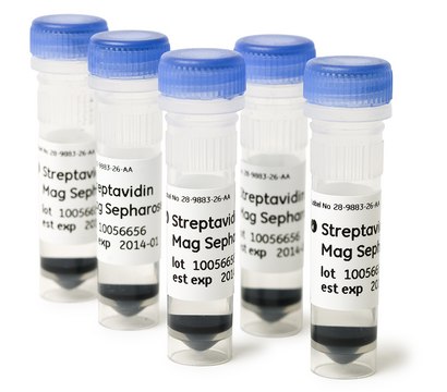 Streptavidin Mag Sepharose™