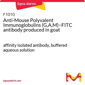 Anti-Mouse Polyvalent Immunoglobulins (G,A,M)?FITC antibody