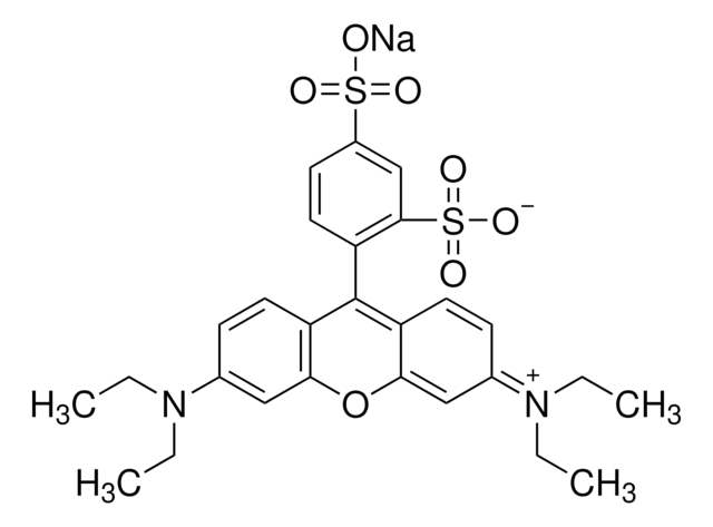 Sulforhodamine B sodium salt