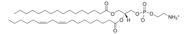 PHOSPHATIDYLETHANOLAMINE (SOY), UNITED S