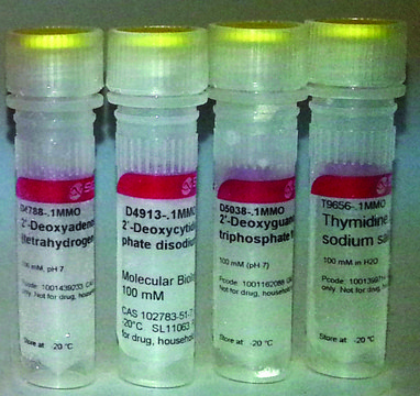 Deoxynucleotide Set, 100 mM