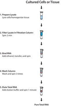 GenElute™ Mammalian Total RNA Miniprep