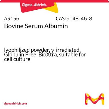 Bovine Serum Albumin