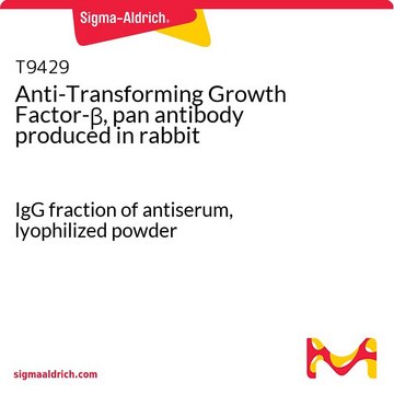 Anti-Transforming Growth Factor-?, pan antibody