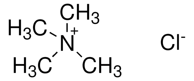 Tetramethylammonium chloride solution