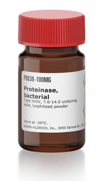 Proteinase, bacterial