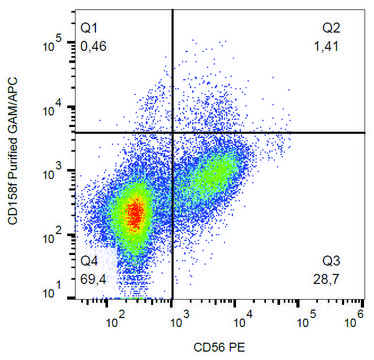 Monoclonal Anti-CD158f antibody produced in