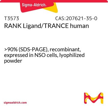RANK Ligand/TRANCE human