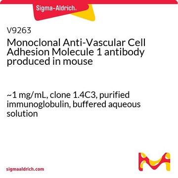 Monoclonal Anti-Vascular Cell Adhesion Molecule