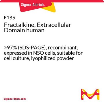 Fractalkine, Extracellular Domain human