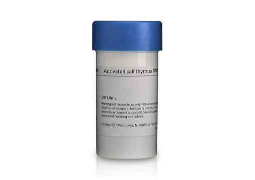 DNA (Calf Thymus), activated