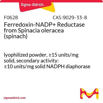 Ferredoxin-NADP? Reductase from Spinacia oleracea