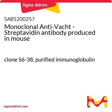 Monoclonal Anti-Vacht - Streptavidin antibody