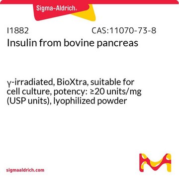 Insulin from bovine pancreas
