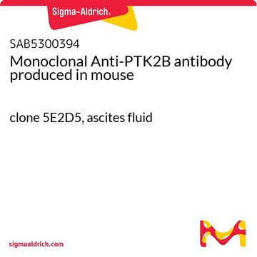 Monoclonal Anti-PTK2B antibody produced in