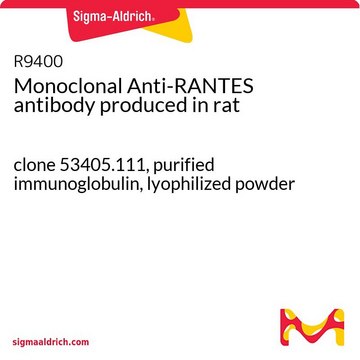 Monoclonal Anti-RANTES antibody produced in