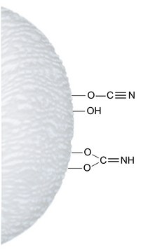 Cyanogen bromide-activated Agarose