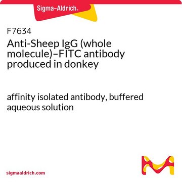 Anti-Sheep IgG (whole molecule)–FITC antibody