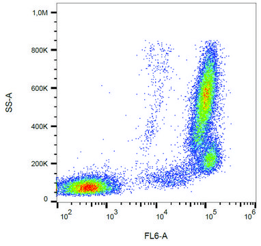 Monoclonal Anti-CD157-APC antibody produced in