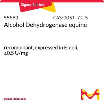 Alcohol Dehydrogenase equine