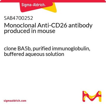 Monoclonal Anti-CD26 antibody produced in
