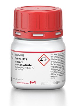 Iron(III) nitrate nonahydrate