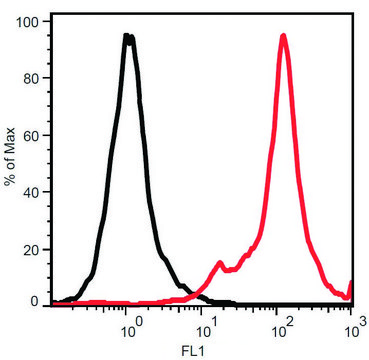 Monoclonal Anti-STRO-1 antibody produced in