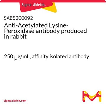 Anti-Acetylated Lysine-Peroxidase antibody produced in