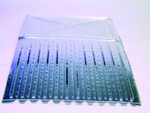 Immobiline® Drystrip pH 4-7, 7