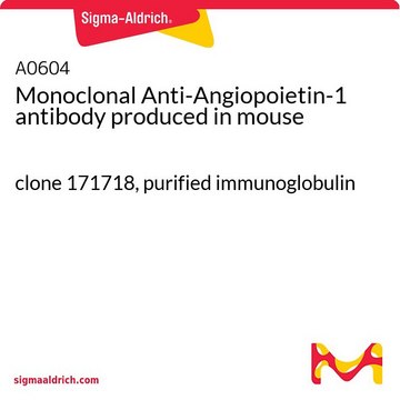 Monoclonal Anti-Angiopoietin-1 antibody produced in