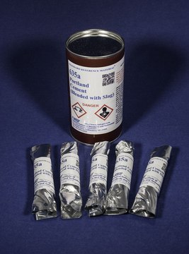 Portland Cement (Blended with Slag)