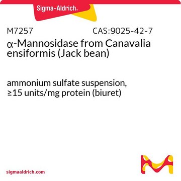 ?-Mannosidase from Canavalia ensiformis (Jack