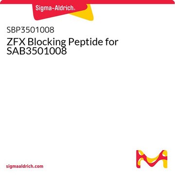 ZFX Blocking Peptide for SAB3501008