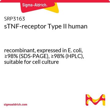 sTNF-receptor Type II human